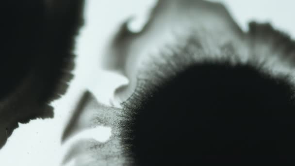 墨迹斑斑 油漆滴落 带有复制空间的暗黑色湿液飞溅在白色抽象背景上的扩散运动 — 图库视频影像