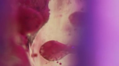 Renkli köpük köpükleri. Su damlasını boya. Odaklanmamış neon, mor, mavi, parıltılı, sıvı mürekkep, hareket sanatının soyut arkaplanı..