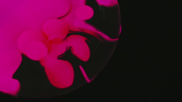 Краска Пузыря Чернильная Капля Яркий Пурпурный Розовый Цвет Черный Цвет — стоковое видео
