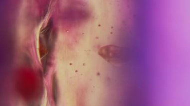 Jöle baloncukları. Jel yağı damlası. Mürekkep suyu. Odaklanmamış neon mavisi pembe renk köpük sıvı boya köpük dalga hareket sanatı soyut arkaplan.