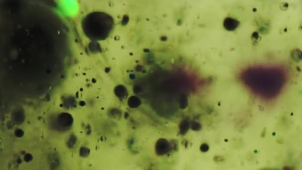 Gota Fluido Gel Bolha Tinta Textura Emulsão Soro Desfocado Verde — Vídeo de Stock