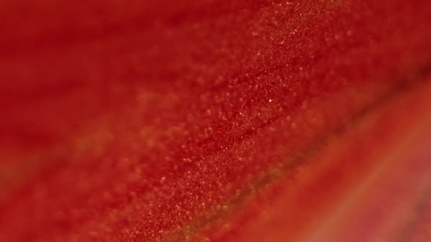 闪光的液体 水墨流 白色抽象艺术背景下的红色橙色闪烁着质感的丙烯酸涂料外溢组合金字塔 — 图库视频影像