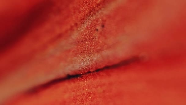 グリッター流体テクスチャー インクの背景 分割された赤い黒い色の勾配のぬれた輝く絵の波動抽象的な芸術の自由なスペース — ストック動画