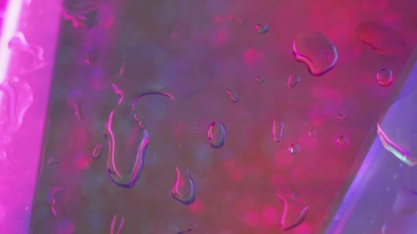 ネオンウォータードロップ ウェットグラス アクアスプラッシュ 透明なボケの光の質の抽象的な芸術の背景の不分離されたピンクの紫外線色の光沢の雨の湿気のドロップの動き — ストック動画