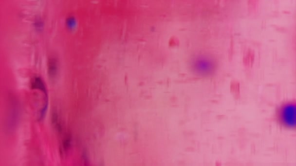 Gel Burbujas Textura Caída Pintura Humedad Gelatina Color Azul Rosado — Vídeos de Stock