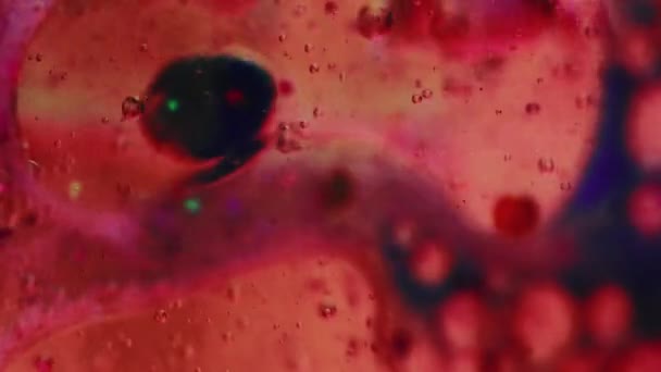 Fluido Burbujas Textura Aceite Pinta Gota Agua Rojo Rosa Azul — Vídeos de Stock