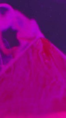 Dikey video. Mürekkep arkaplanı. Renk dumanı. Sis sanatı. Kırmızı piramidin tepesindeki neon pembe dokuma sisi ve menekşe üzerindeki Bokeh soyut parçacıkları..