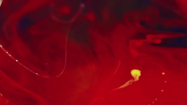 カラーミスト 水泳をペイントする ダークブラック抽象アートの背景に赤い煙のテクスチャインクスプラッシュフローオイルブロブ浮遊動き — ストック動画