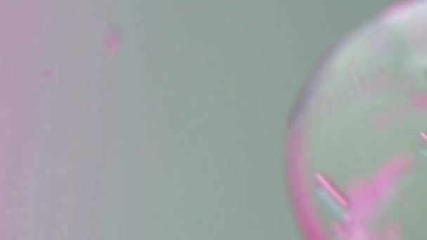 Χρώμα Φυσαλίδες Πετρέλαιο Νέον Ροζ Μπλε Ημιδιαφανές Τζελ Ρευστή Σφαίρα — Αρχείο Βίντεο
