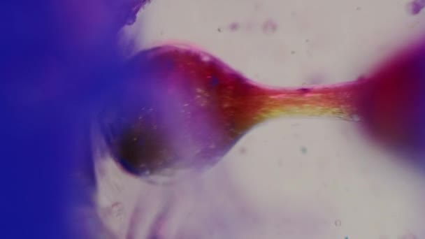 Öltropfen Färben Schaumspritzer Gelee Flüssige Textur Defokussiert Hell Blau Lila — Stockvideo