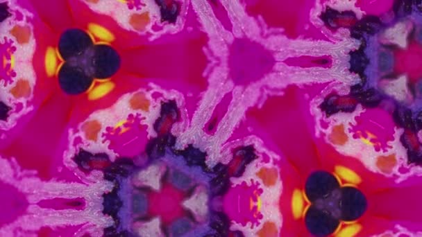 Pintura Caleidoscópio Água Com Tinta Mosaico Fractal Desfocado Magenta Rosa — Vídeo de Stock