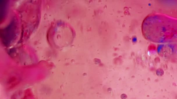 Jelly Bubbels Gel Vloeistof Druppel Inktwater Gedeocaliseerde Levendige Roze Blauwe — Stockvideo