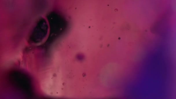 Fluido Burbujas Textura Aceite Gota Agua Tinta Desenfocado Neón Púrpura — Vídeos de Stock