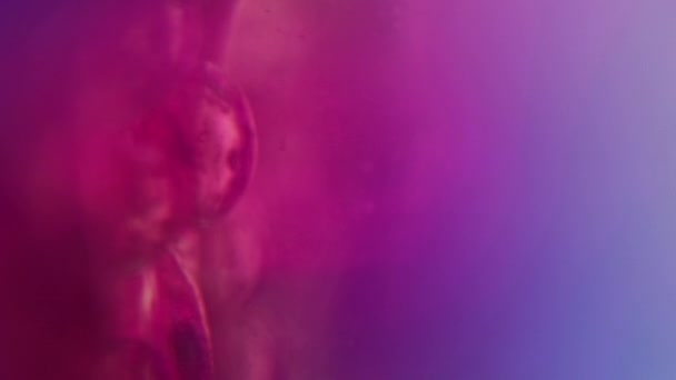 Neon Flüssigkeitsblasen Defokussierter Hintergrund Verwischen Magenta Rosa Blau Lila Farbverlauf — Stockvideo
