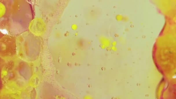 Blasenflüssigkeit Ölbeschaffenheit Farbwassertropfen Gelb Rosa Blau Farbe Transparent Schaum Nasse — Stockvideo