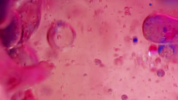 Želé Bublinky Kapka Gelové Tekutiny Inkoustová Voda Rozostřené Pulzující Růžová — Stock video