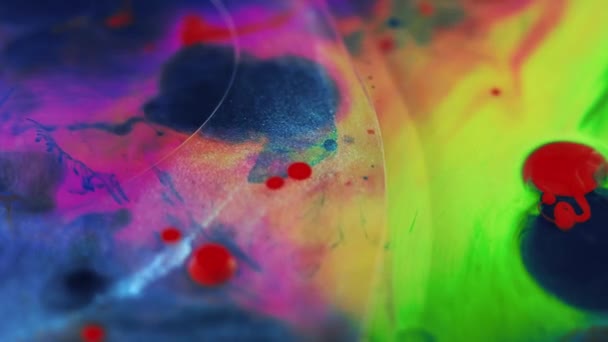 Fluido Aceite Burbujas Pintura Desenfocado Vívido Rosa Azul Verde Rojo — Vídeo de stock