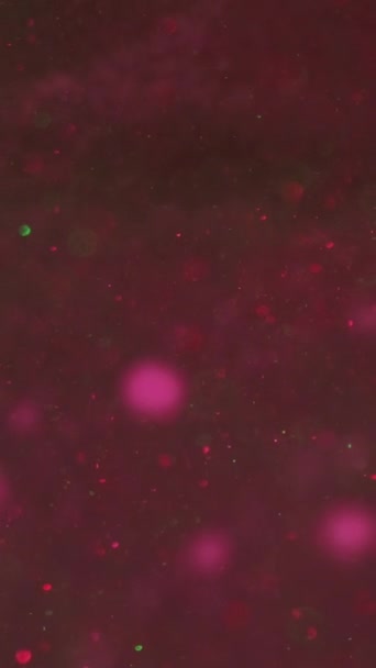 Vídeo Vertical Luces Bokeh Brillo Desenfocado Lente Bengala Partículas Redondas — Vídeos de Stock