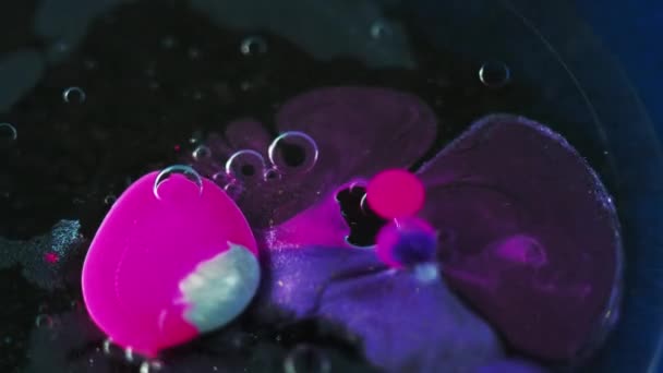 Paint Bubbles Ölspritzer Defokussierte Neonrosa Blaue Farbe Acryltinte Farbstoff Wasser — Stockvideo