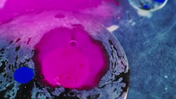 ペイントスプラッシュ インクバブル液 分割された明るいマゼンタピンクブルー色の粒子テクスチャアクリルオイル染料ブレンドブラック抽象アートの背景に動きを明らかに — ストック動画