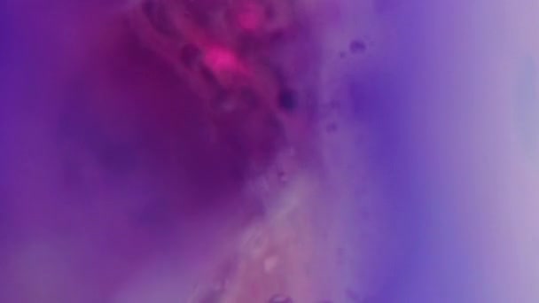 Salpicadura Líquido Gel Burbuja Pintura Textura Emulsión Sérica Desenfocado Neón — Vídeos de Stock