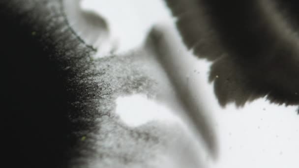 墨水飞溅 油漆溢出 模糊的黑色液体滴在白色颗粒纹理上的流动 模糊抽象的艺术背景 — 图库视频影像