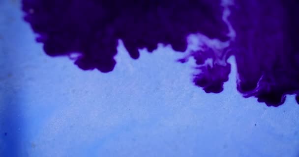 Всплеск Краски Блестящая Жидкая Текстура Пятно Белый Лиловый Фиолетовый Черный — стоковое видео