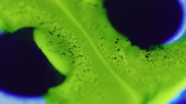 Tinte Tropft Malen Sie Wasser Fließen Defokussiert Hell Neon Grün — Stockvideo