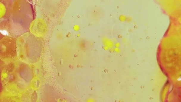 Fluído Bolha Textura Óleo Pinte Gota Água Amarelo Rosa Azul — Vídeo de Stock