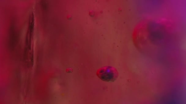 カラーフォームドロップ ゲルフードテクスチャ オイルバブル 不分割された明るいネオン ピンク ブルー インク スプラッシュ アート 抽象的な背景 — ストック動画