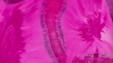 Mürekkep arkaplanı. Akrilik karışımı. Sıvı girdabı. Odaklanamayan mor pembe beyaz boya lekesi yaratıcı soyut sanat dokusunu sıçratıyor..