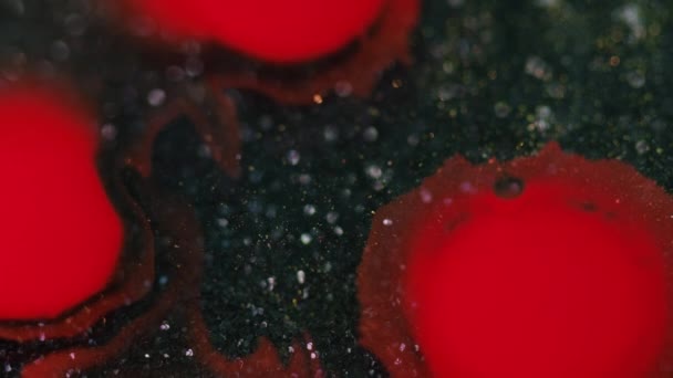 Caída Tinta Salpicadura Pintura Desenfocado Color Rojo Mojado Mancha Mancha — Vídeos de Stock
