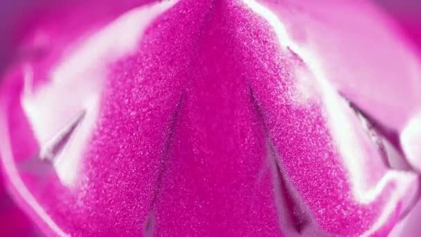 Tinta Brilhante Prisma Cintilante Desfocado Brilhante Rosa Cor Roxa Partículas — Vídeo de Stock