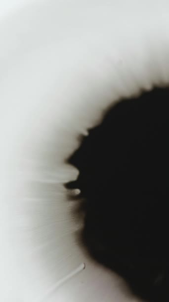バーティカルビデオ インクドロップ 水スプラッターを塗る スタイン スプラッシュ 白いオープナーの抽象的な背景の分散された黒い流体の広がる波の流れの動き — ストック動画