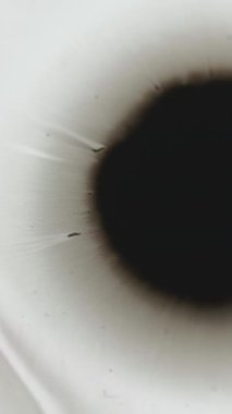 Dikey video. Siyah mürekkep sıçraması. Suyun içine boya damlıyor. Islak serpinti. Bulanık sıvı sızıntısı beyaz geçişin soyut arka planında dalga akışı hareketi yayıyor.