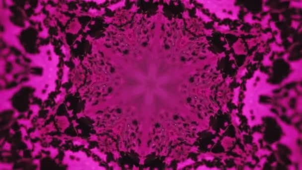 Mandala Tinta Caleidoscopio Pintura Blur Magenta Rosa Negro Color Brillante — Vídeo de stock