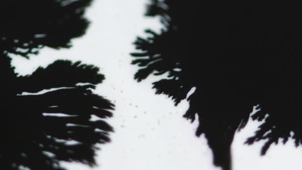 Inktvlek Verf Morsen Waas Zwarte Vloeistof Splatter Stroom Witte Deeltjes — Stockvideo