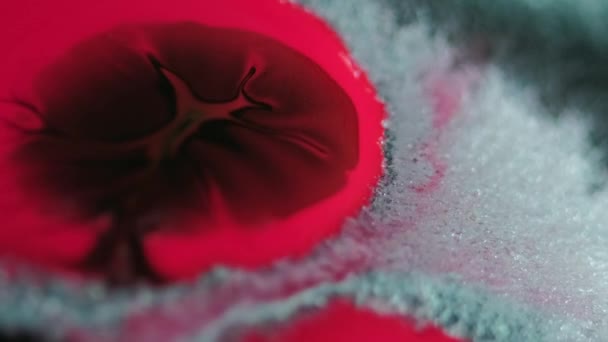 Kropla Farby Mieszanka Tuszu Rozmycie Jasny Koralowy Różowy Biały Srebrny — Wideo stockowe