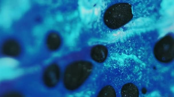 Fondo Abstracto Flujo Purpurina Arte Fluido Blur Color Negro Azul — Vídeo de stock