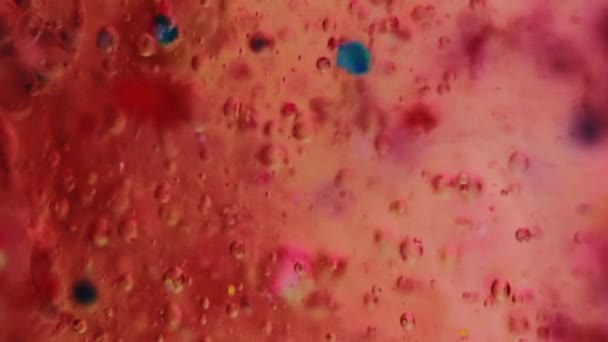 凝胶泡沫质感 油漆滴落 果冻湿气模糊的红色粉红蓝色半透明液墨水圈漂浮运动艺术抽象背景 — 图库视频影像