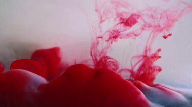 Mürekkep bulutu akışı. Duman boyası. Parlak kırmızı kan rengi su sıvısı bulanık sis dalgası çözünmüş beyaz soyut sanat arka planında.