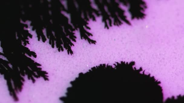 Чорнило Розсіюється Малювати Розливання Розмиті Чорні Плями Падають Потік Фіолетовий — стокове відео