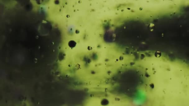 Textura Bolhas Gel Gota Tinta Humidade Gelatinosa Borrão Verde Preto — Vídeo de Stock