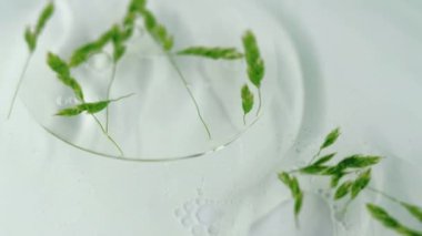 Doğal serum. Yağ dokusu. Oksijen kabarcığının içinde dönen çözünmüş yeşil kök fabrikası kokulu su akışı soyut arkaplan.