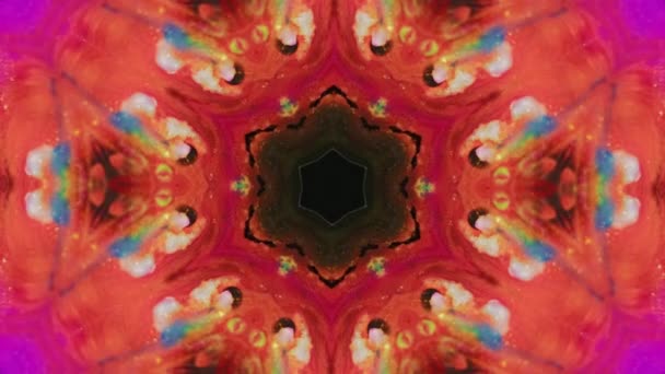 Lotus Mandala Caleidoscopio Vernice Sfocato Corallo Arancione Rosa Blu Nero — Video Stock