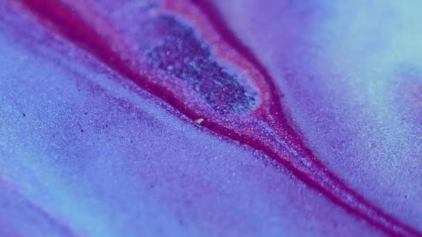 Salpicadura Líquido Purpurina Flujo Pintura Blur Rosa Púrpura Azul Color — Vídeo de stock