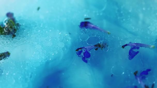 Kwiatowa Esencja Żelowa Bańka Nieostry Niebieski Fioletowy Płyn Koloru Fioletowego — Wideo stockowe
