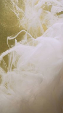 Boya suyu girdabı. Duman akışı. Sıvı sanat. Odaklanmış altın rengi tahıl soyut arkaplanda beyaz sıvı bulut sisi mürekkep hareketi.