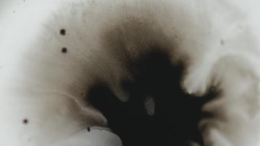 Boya sıçraması. Mürekkep damlası. Islak çamur lekesi. Odaklanmamış siyah sıvı, beyaz grunge soyut arkaplan üzerine serpme hareketi.