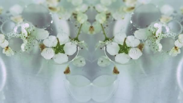Caleidoscópio Floral Líquido Óleo Desfocado Pétalas Brancas Naturais Gel Textura — Vídeo de Stock